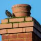 Chimney cleaning