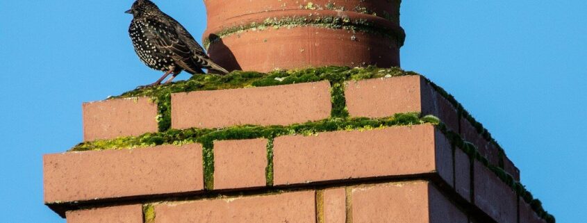 Chimney cleaning